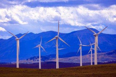 Rüzgar türbini rüzgarın kinetik enerjisini rüzgar çiftlikleri olarak bilinen tesislerde elektrik enerjisine dönüştüren bir cihazdır.. 