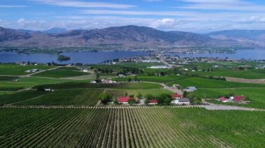 Okanagan Vadisi 'ndeki Osoyoos ve Osoyoos Gölü' ndeki bir üzüm bağı ve şaraphanenin hava manzarası, British Columbia, Kanada.