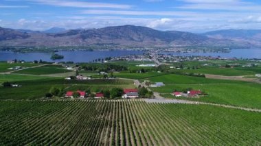 Okanagan Vadisi 'ndeki Osoyoos ve Osoyoos Gölü' ndeki bir üzüm bağı ve şaraphanenin hava manzarası, British Columbia, Kanada.