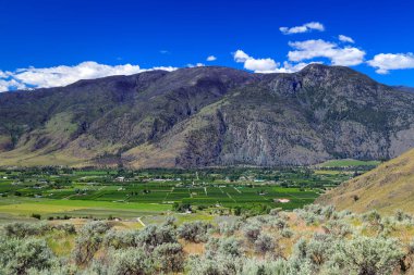 Kanada 'nın Cawston, British Columbia, Kanada' daki Similkameen Vadisi 'ndeki tarım arazileri ve meyve bahçeleri.