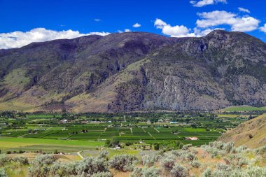 Kanada 'nın Cawston, British Columbia, Kanada' daki Similkameen Vadisi 'ndeki tarım arazileri ve meyve bahçeleri.