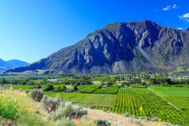 Kanada 'nın Keremeos, British Columbia, Kanada' daki Similkameen Vadisi 'ndeki tarım arazileri ve meyve bahçeleri.