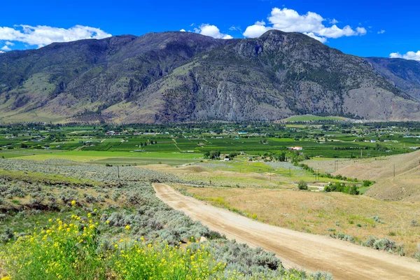 Paisagem Canadense Campos Agruculturais Pomares Uma Estrada Rural Vale Similkameen — Fotografia de Stock