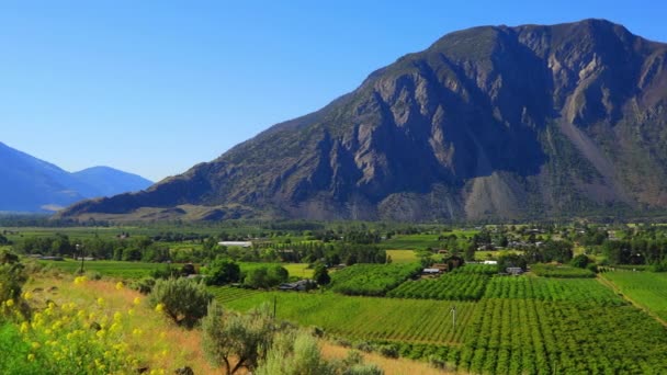 Fruit Orchard Keremeos Similkameen Valley British Columbia Landscape Canadian Landscape — Stockvideo