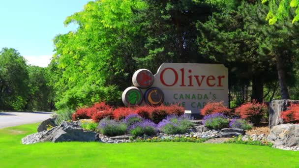 Oliver British Columbia Canada June 2022 Canada Wine Capital Sign — Stock Video