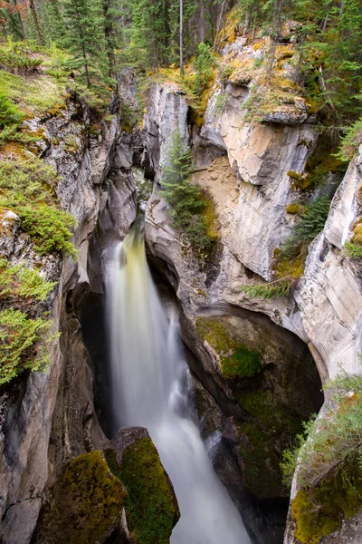 マリーン キャニオンは カナダのアルバータ州ジャスパー国立公園に位置する自然の特徴です マレーニュ川のパルザー層から侵食され 峡谷は50メートル以上の深さを測定します — ストック写真