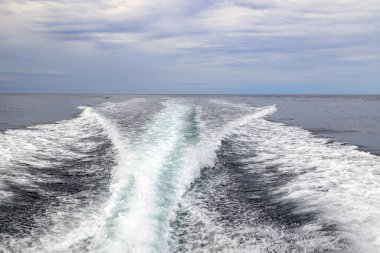 Langara Adası 'nda, Britanya Kolumbiyası, Kanada' nın başkenti Haida Gwaii 'de bulunan bulutlu bir günde deniz kenarında ufuk çizgisinde seyreden bir sürat teknesinden kalkış.. 
