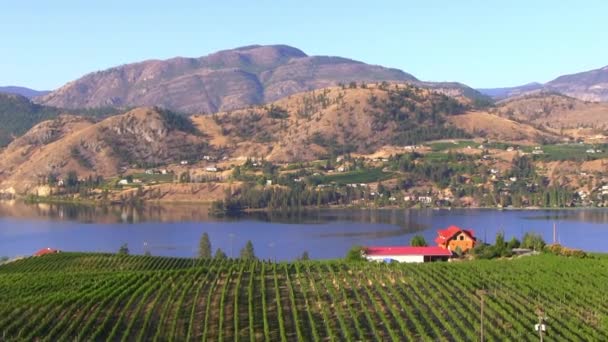 View Winery Vineyard Overlooking Skaha Lake Okanagan Falls British Columbia — Stockvideo