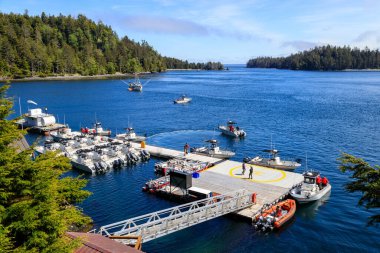 Langara Adası, British Columbia, Kanada - 30 Mayıs 2022: Langara Adası, Haida Gwaii, British Columbia, Kanada.