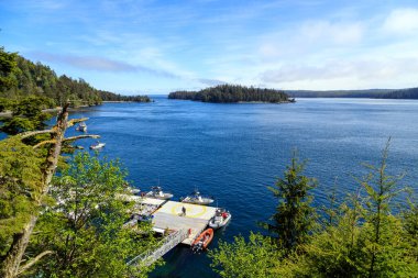 Langara Adası, British Columbia, Kanada - 30 Mayıs 2022: Langara Adası, Haida Gwaii, British Columbia, Kanada.
