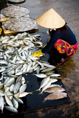 Duong Dong, Phu Quoc Island, Vietnam - January 25, 2018: Vietnamese market vendor selling fresh seafood at the Duong Dong Market located in Duong Dong, Phu Quoc Island, Vietnam.