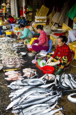 Duong Dong, Phu Quoc Island, Vietnam - January 25, 2018: Vietnamese market vendors selling fresh seafood at the Duong Dong Market located in Duong Dong, Phu Quoc Island, Vietnam.