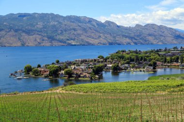 View of vineyards and Okanagan Lake in Westbank, West Kelowna, British Columbia, Canada located in the Okanagan Valley.