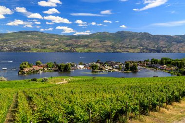 View of vineyards and Okanagan Lake in Westbank, West Kelowna, British Columbia, Canada located in the Okanagan Valley.