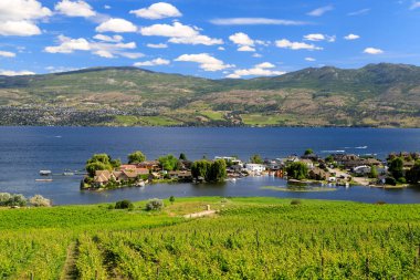 View of vineyards and Okanagan Lake in Westbank, West Kelowna, British Columbia, Canada located in the Okanagan Valley.