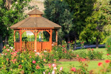 Cedar wooden gazebo at the rose garden in the city park of Penticton, British Columbia, Canada located in the Okanagan Valley.