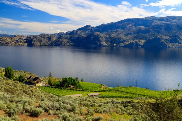 Vineyard landscape overlooking Okanagan Lake near Summerland in the Okanagan Valley, British Columbia, Canada.