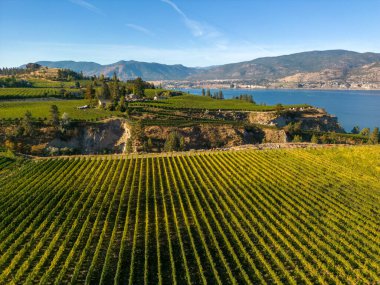 Penticton, British Columbia, Kanada 'daki Okanagan Vadisi' nde Okanagan Gölü ve Naramata Bench 'e bakan şaraphanenin insansız hava aracı görüntüsü..