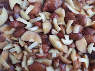 Mantarların arka planı Suillus luteus