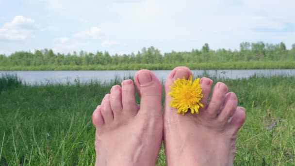 Pés sem sapatos descansam na natureza — Vídeo de Stock