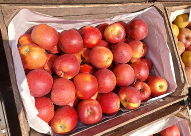 Bir kutu kırmızı elma..