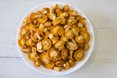 Birçok genç mantar Cantharellus cibarius masanın üzerinde yuvarlak beyaz bir tabakta yatar. Yüksek kalite fotoğraf