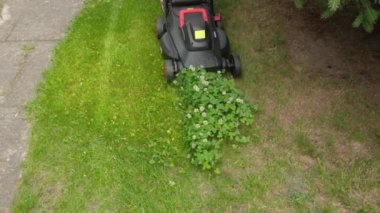 Bir çim biçme makinesi yeşil çim biçer. Bahçe bakımı fikri. Yüksek kalite 4k görüntü