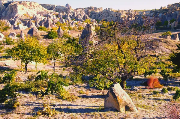 Malerische Naturlandschaft Blick Auf Tal Kappadokien Hintergrund Beeindruckend Geformte Sandsteinfelsen — Stockfoto