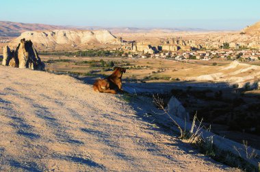 Evsiz köpek dinleniyor ve Cappadocia 'daki tipik jeolojik oluşumların manzarasını izliyor. İnanılmaz şekilli kumtaşı kayaları. Ünlü turistik yer ve romantik seyahat merkezi..