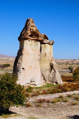 Kum taşı şeklindeki kayaların manzarası. Goreme yakınlarındaki Pasaba Vadisi 'nde ünlü Peri Bacaları ya da çok başlı taş mantarlar. Türkiye 'de popüler seyahat noktası. UNESCO Dünya Mirası Alanı.