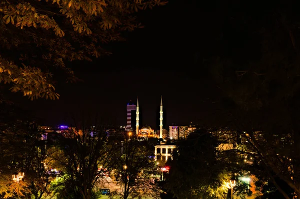 科尼亚市风景秀丽的夜景 在Hac Veyisza被照亮的清真寺背景 树离开边界 大自然的组成 阿拉丁山公园的风景 旅行和旅游概念 — 图库照片