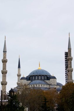 Mavi Cami 'nin (Sultanahmet Camii) sonbahar manzarası. Arka planda bulutlu bir gökyüzü.