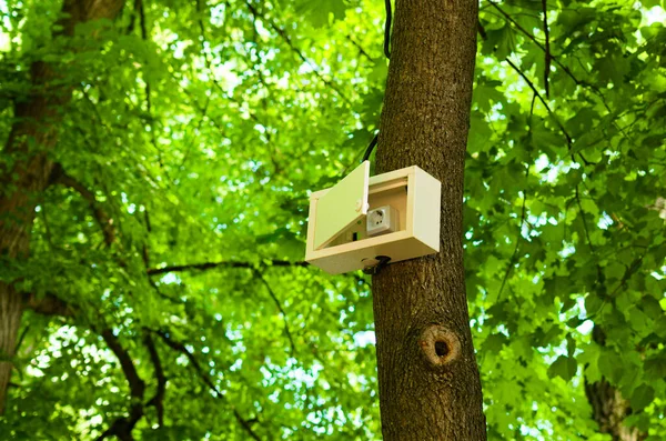 公園の木の上の白い箱の中の電気ソケット グリーンエネルギーの概念 桜の葉 Background ロイヤリティフリーのストック写真
