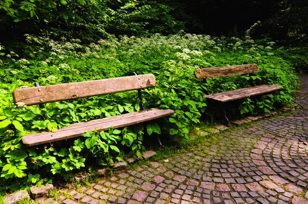 Zwei Alte Zerstörte Holzbänke Verlassenen Teil Des Parks Zwei Leere — Stockfoto