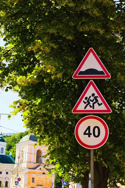 Traffic Signs Green Leaves Linden Tree Sunny Morning Warning Sign — Stockfoto