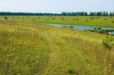 Picturesque summer landscape view of green hills with trees and pond in the background. Rural scene. Nature concept. Green meadows with pathway to the lake. Sky and clouds background.