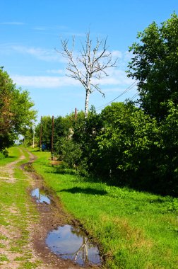 Beautiful summer landscape in a village in Ukraine. The mud and puddles after a rain on a country road in small village. Simple village dirt road in Ukrainan village.