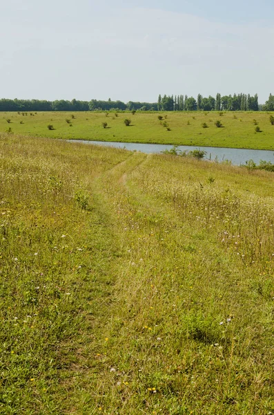 Sunny summer landscape view of green hills with trees and pond in the background. Rural scene. Nature concept. Green meadows with pathway to the lake. Sky and clouds background.