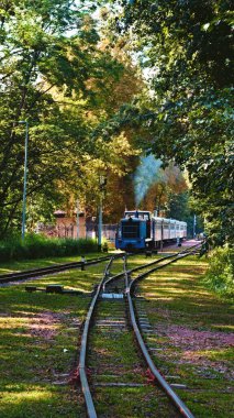 View of diesel locomotive TU7A with several cars departs from the station. Narrow gauge Kyiv Children's Railway in Syretsky Park. Narrow gauge Kyiv Children's Railway in Syretsky Park.