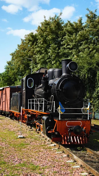 Paisaje Escénico Vista Locomotora Tren Vapor Vintage Tipo Con Vagón —  Fotos de Stock