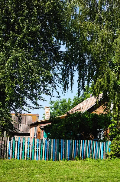 Old rural house covered by green leaves birch. Countryside old rural house with front yard and wooden fence.