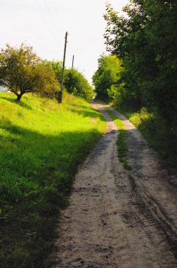Tipik Ukrayna köyündeki dar viraj yolunun manzarası. Kırsal toprak yol. Panoramik kırsal manzara. Toprak yol boyunca yeşil yapraklar. Kırsal alan. Doğa konsepti..