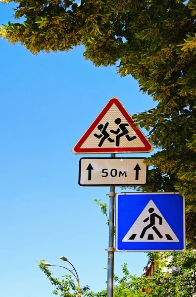 晴れた朝に緑の葉のリンデンの木に対する交通標識 警告青の四角形に子供と横断歩道の標識を黒に警告します 大都市の道路標識の概念 市内の交通標識 — ストック写真