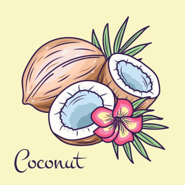  Hindistan cevizi. Bütün ve kırık hindistancevizi ürün amblemi meyve ürün etiketi, ambalaj etiketi, bakkal dükkanı etiketi, çiftlik mağaza için izole