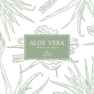 El çizimi Aloe Vera kartı. Soyut Vektör Aloe Skeç Geçmişi ile Klas Retro Typography. İzole edilmiş.