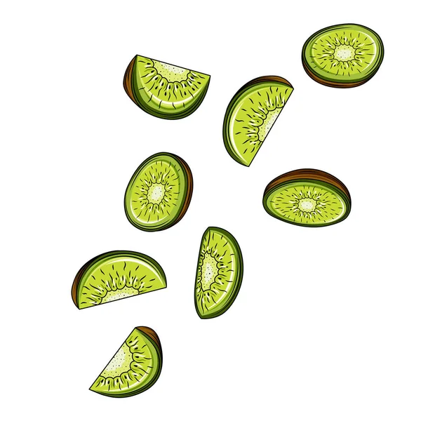 Kiwi Fruit Sliced Segments Isolado em fundo branco. Ilustração vetorial. Cada segmento cortado é isolado. —  Vetores de Stock