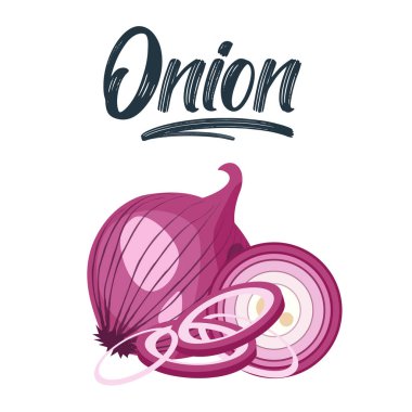 Kırmızı soğan seti. İkiye böl, dilimle ve soğan halkaları. İzole vektör illüstrasyonu.