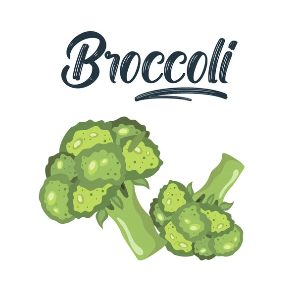 Illustrazione del disegno a mano di broccoli. Isolato di broccoli. Broccoli freschi verdi. — Vettoriale Stock