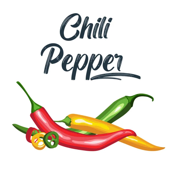 Icona messicana del vettore peperoncino piccante jalapeno su sfondo bianco. Colori peperoncino piccante set . — Vettoriale Stock