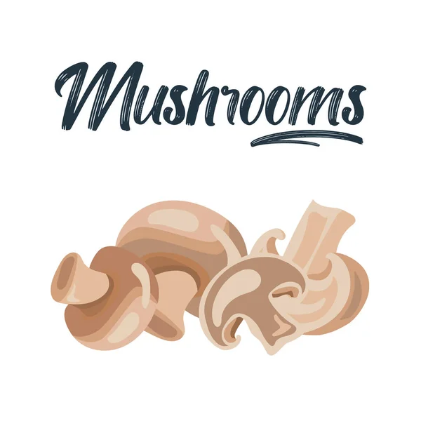 Cartoon champignon. Edible tasty ripe mushroom slices, delicious raw champignon mushrooms vector illustration set. Fresh champignon.Ripe vegetable mushroom to eating, vegetarian gourmet — Stock Vector
